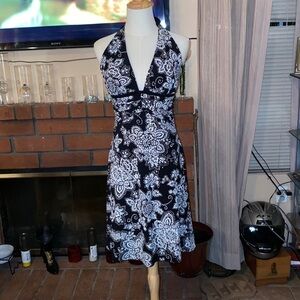 BX43 White House black market size 0 black and white dress